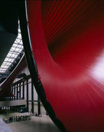 Anish Kapoor Marsyas 2002