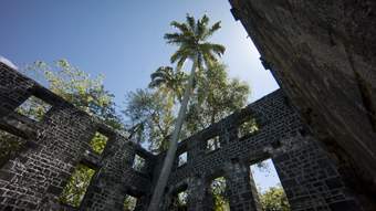 A film still of Shiraz Bayjoo's work. The image shows a blue sky, with palm trees and the ruins of a building.